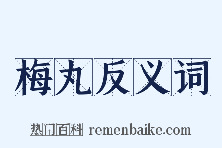 梅丸反义词是什么意思的图片